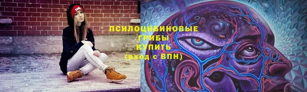 крисы Алагир