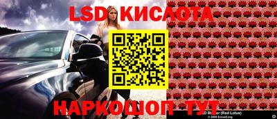 крисы Балахна