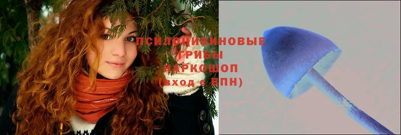 Галлюциногенные грибы GOLDEN TEACHER  OMG как зайти  Борзя 