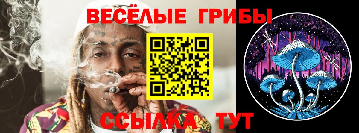 Галлюциногенные грибы MAGIC MUSHROOMS Борзя