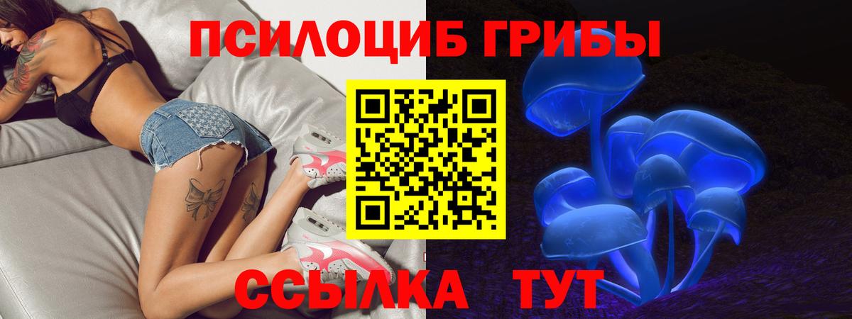 купить закладку  Псилоцибиновые грибы ЛСД  Вход с VPN  Борзя 