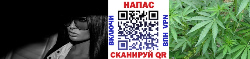 продажа наркотиков  Борзя  Бошки Шишки марихуана 